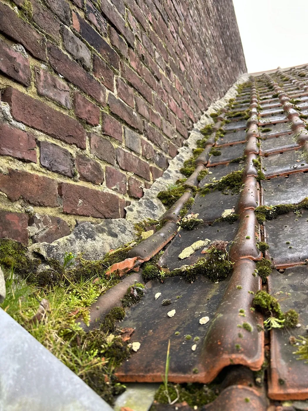 Inspection d'une toiture avant intervention : mousses et solin ancien contre un mur en briques